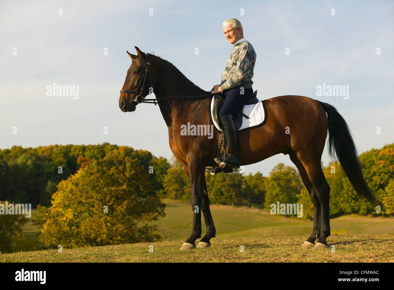 Man on Horseback Stock Photo - Alamy