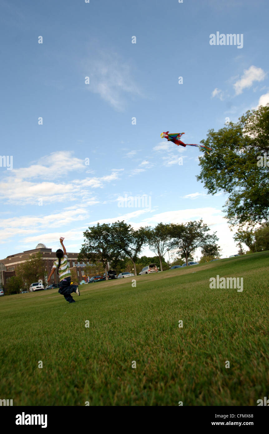 Young Boy Flying Kite in Park Stock Photo