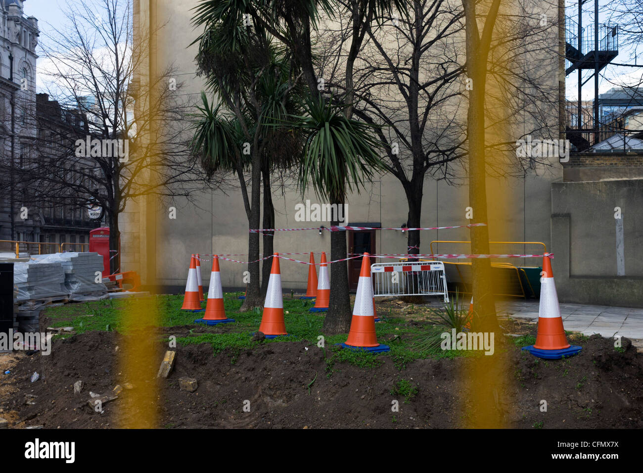 Incongruously odd landscape of traffic cones, striped tape and urban trees on construction site. Stock Photo