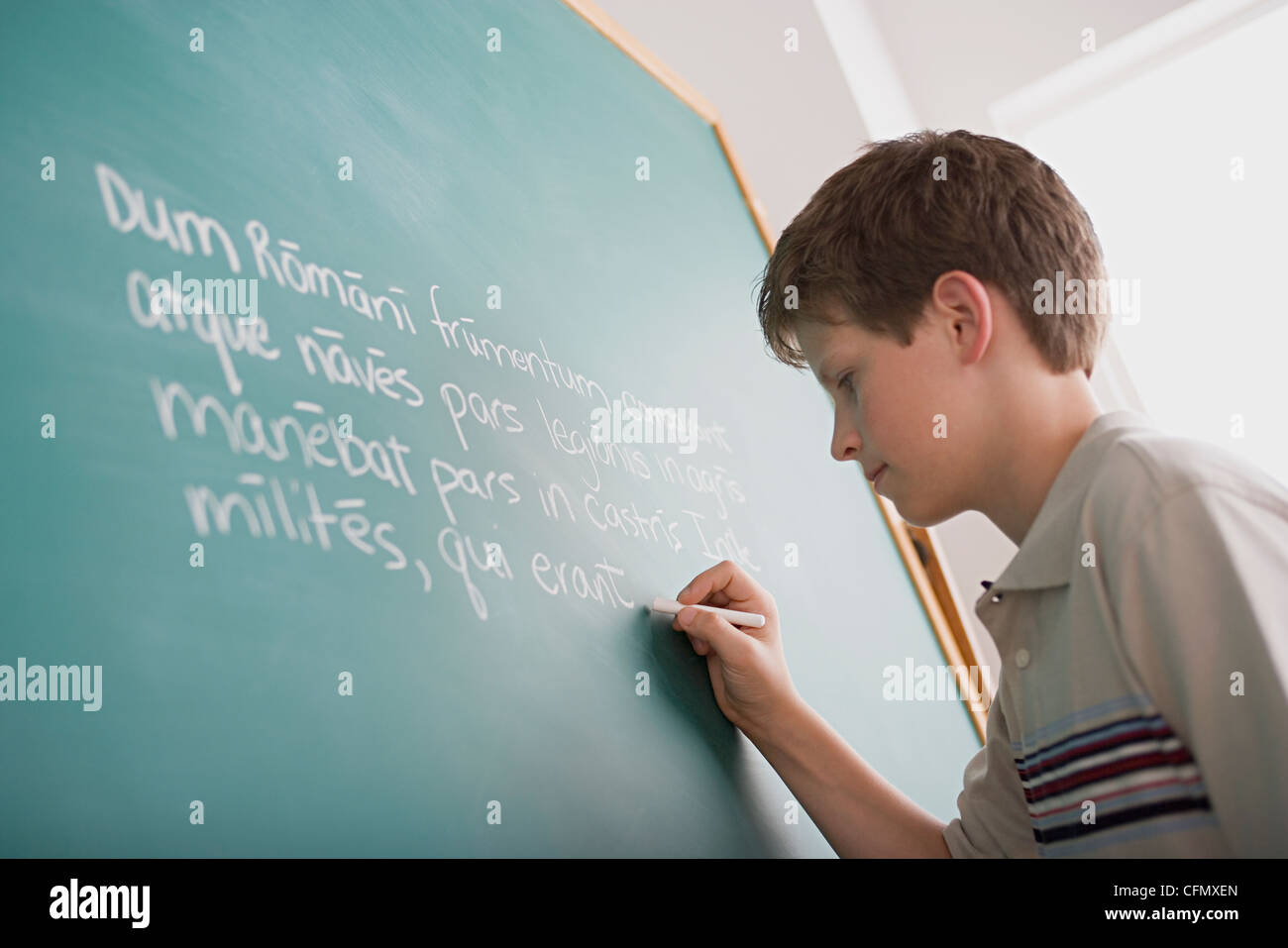 Nick went to the blackboard. Learning second language. Learning a New language is like. Картинки JW учить язык. Pupil at the blackboard.