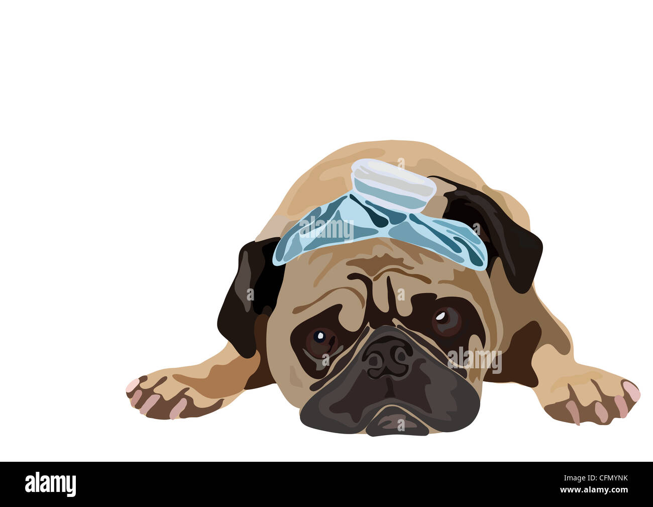 Dog with funny hat lying on white background Stock Photo Alamy