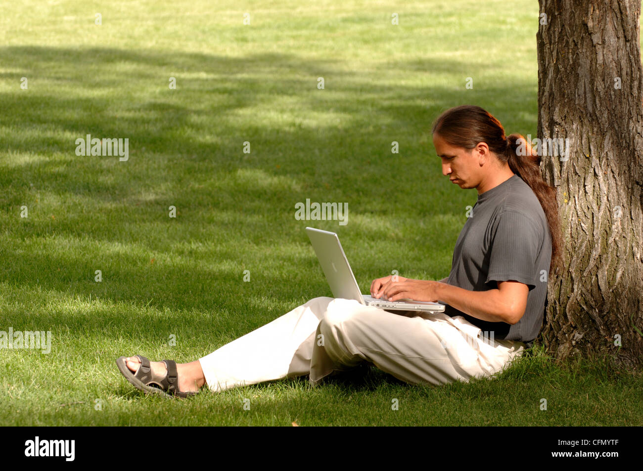 Man Sitting Against Tree Working on Laptop Stock Photo