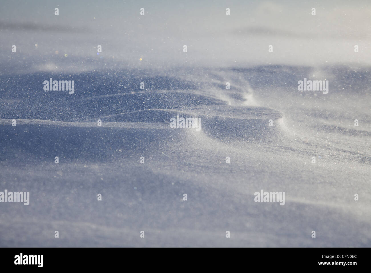 snow, wind, blizzard, Finland, Arctic, cold Stock Photo