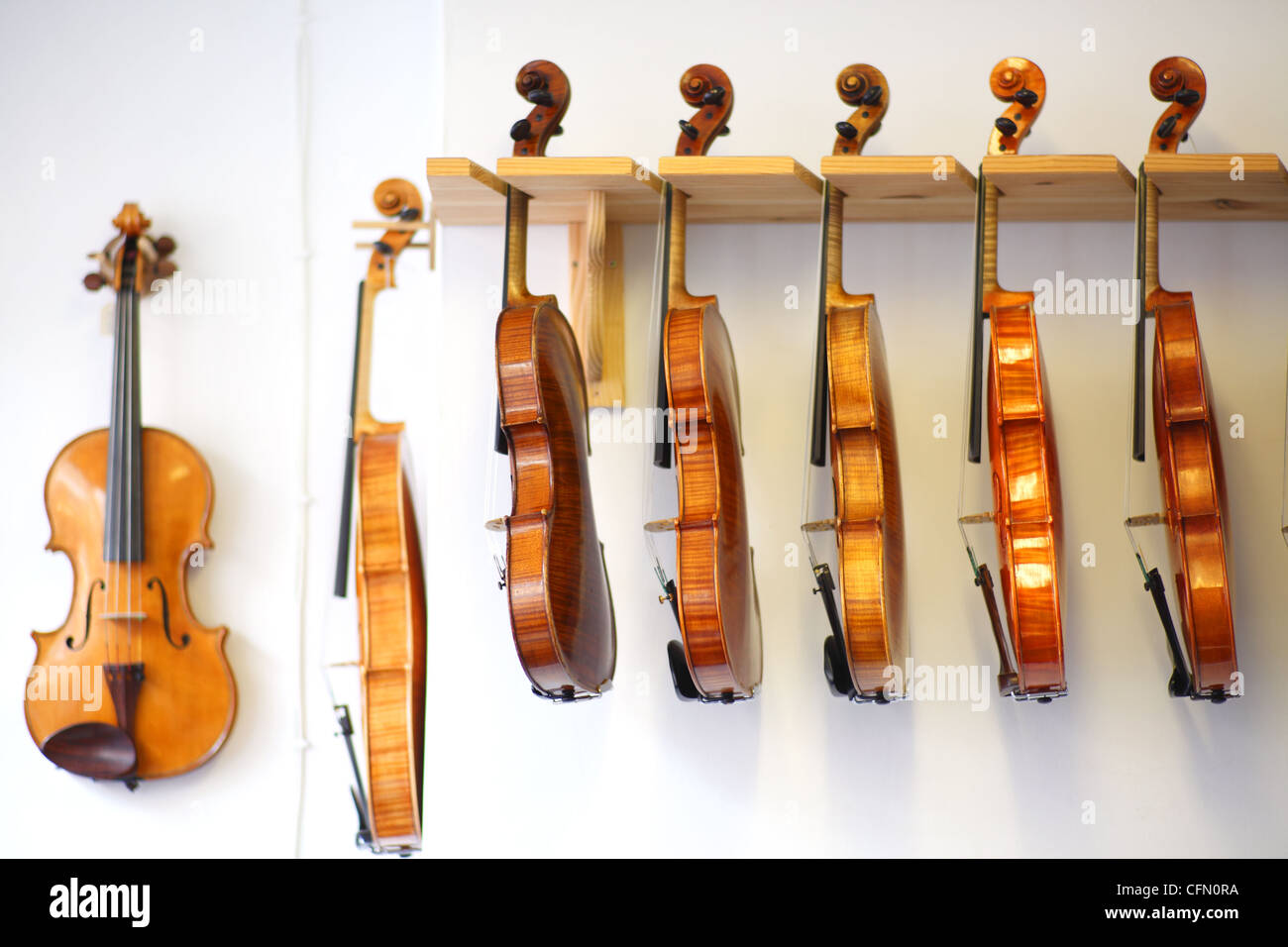 Violins on sale in a music shop. Stock Photo