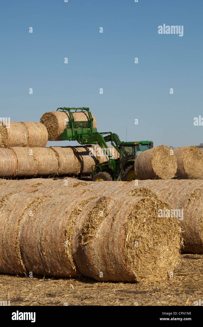 Lexington, Nebraska Bales of hay are loaded on a truck in a farm