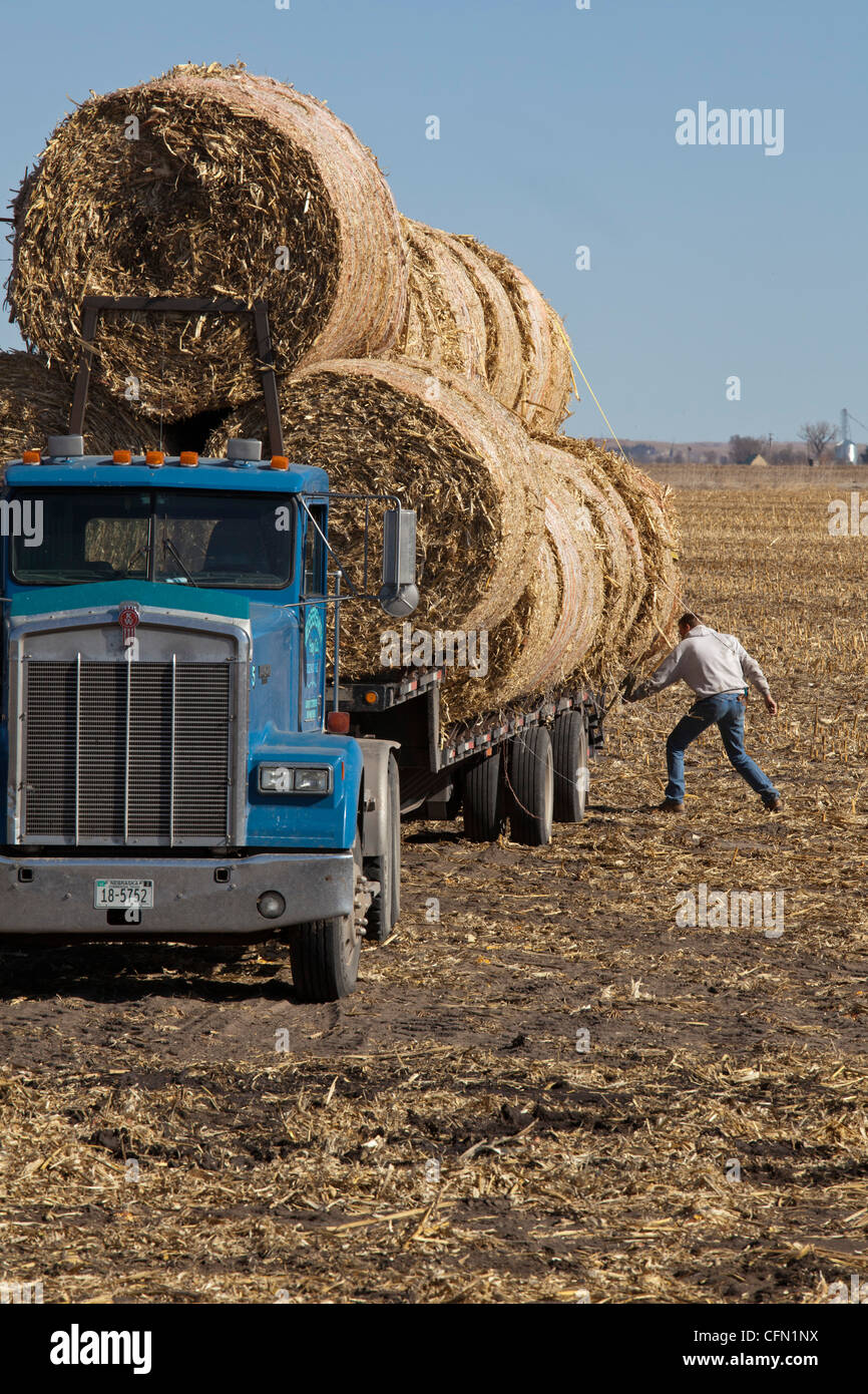 Bales Of Hay On A Truck High Resolution Stock Photography and Images Alamy