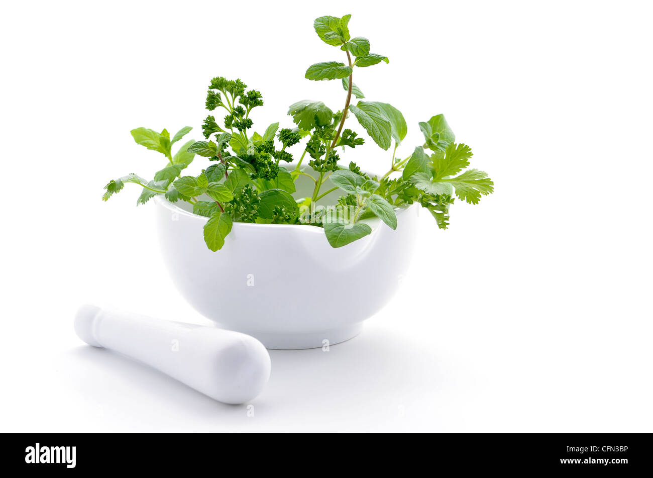 Fresh green herbs in white porcelain mortar and pestle on white background with room for copy Stock Photo