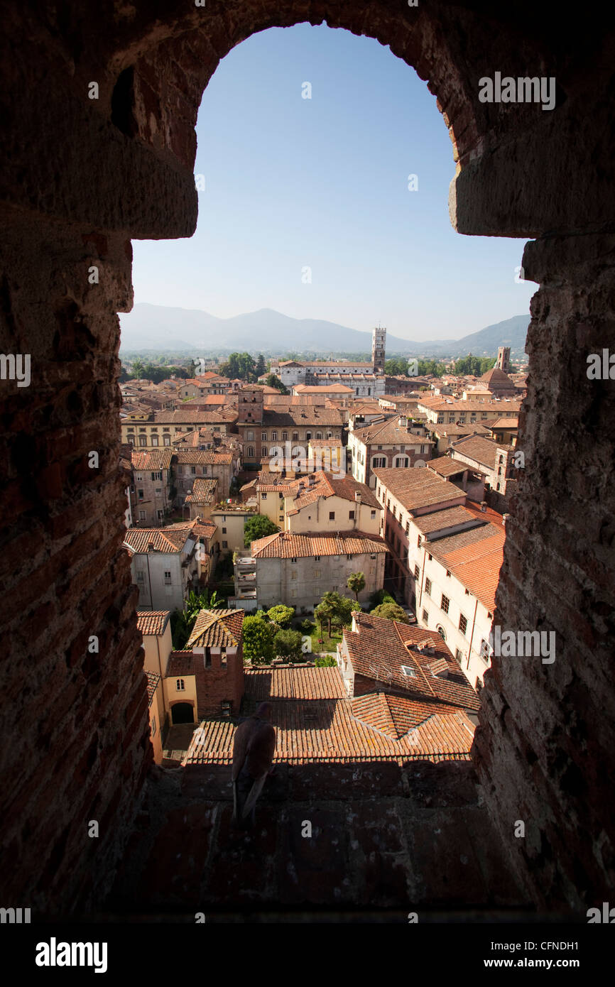 View from the Giunigi Tower, Lucca, Tuscany, Italy, Europe Stock Photo