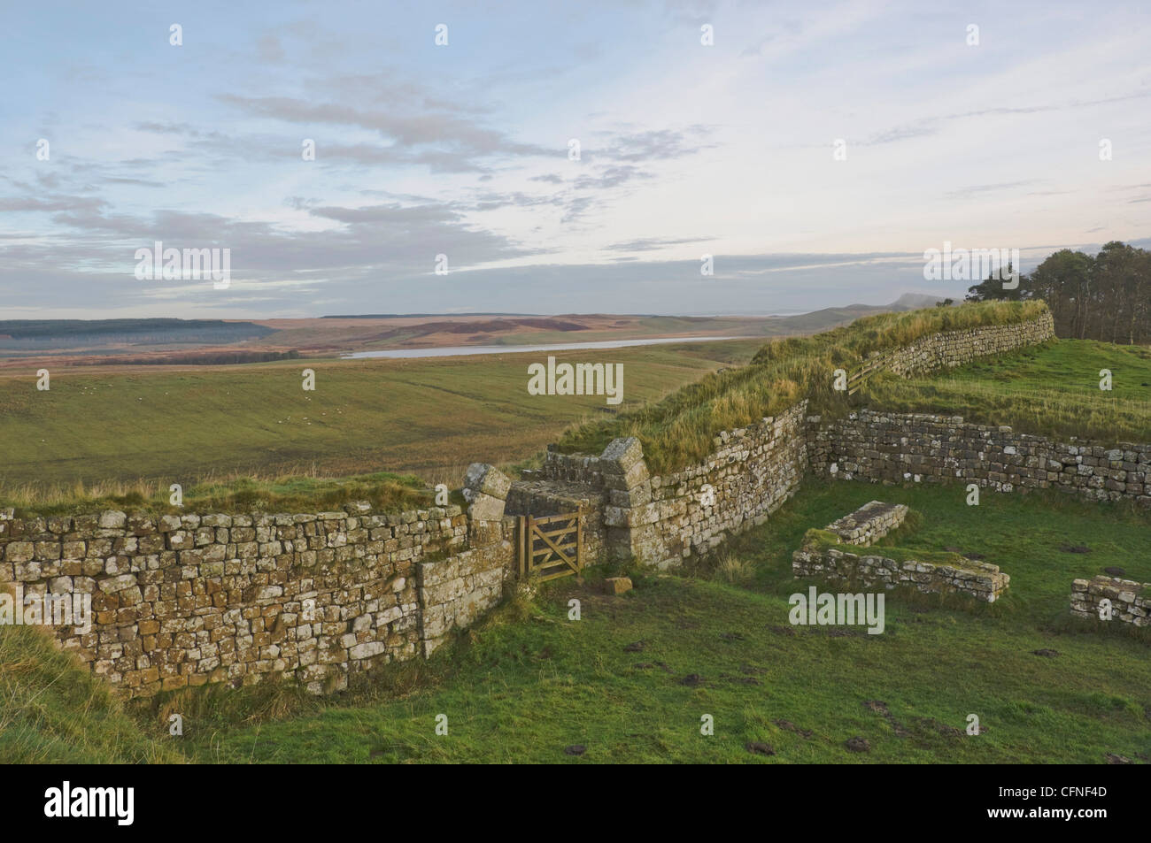 Broomlee lough hires stock photography and images Alamy