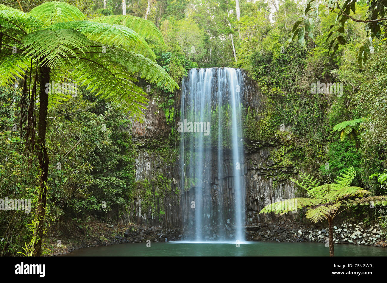 Millaa Millaa Falls, Atherton Tableland, Queensland, Australia, Pacific