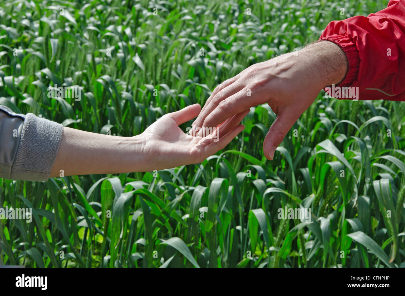 man and woman handshaking Stock Photo Alamy