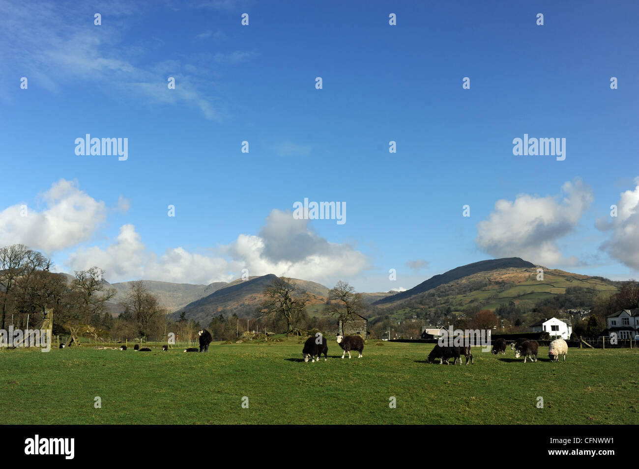Scenic landscape with near Ambleside in The Lake District Cumbria UK Stock Photo
