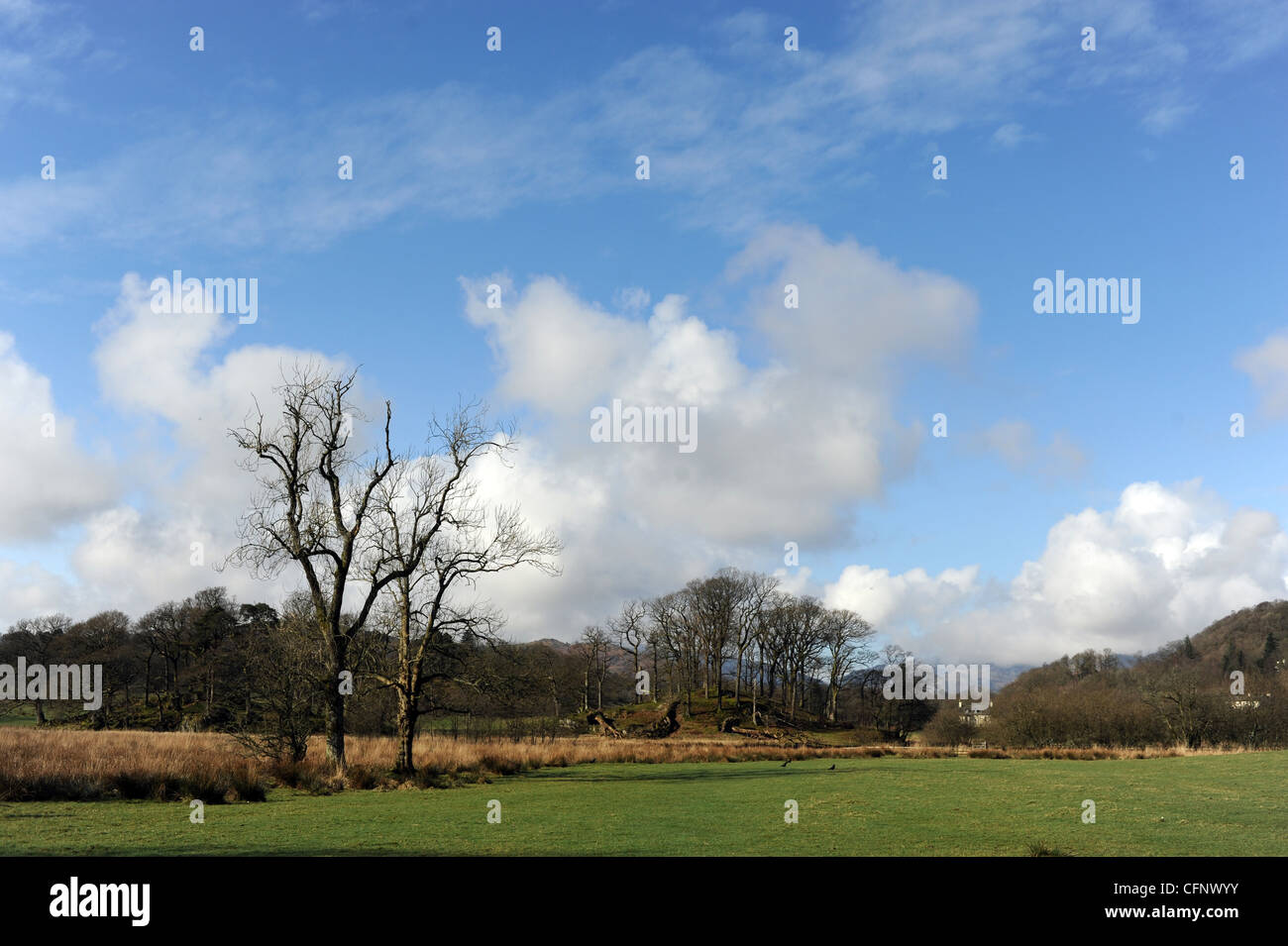 Scenic landscape with near Ambleside in The Lake District Cumbria UK Stock Photo