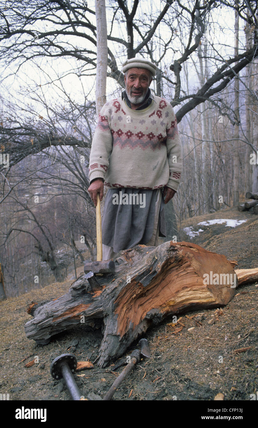 Portrait of a woodcutter in front of a large trunk, Hunza Valley, Pakistan Stock Photo