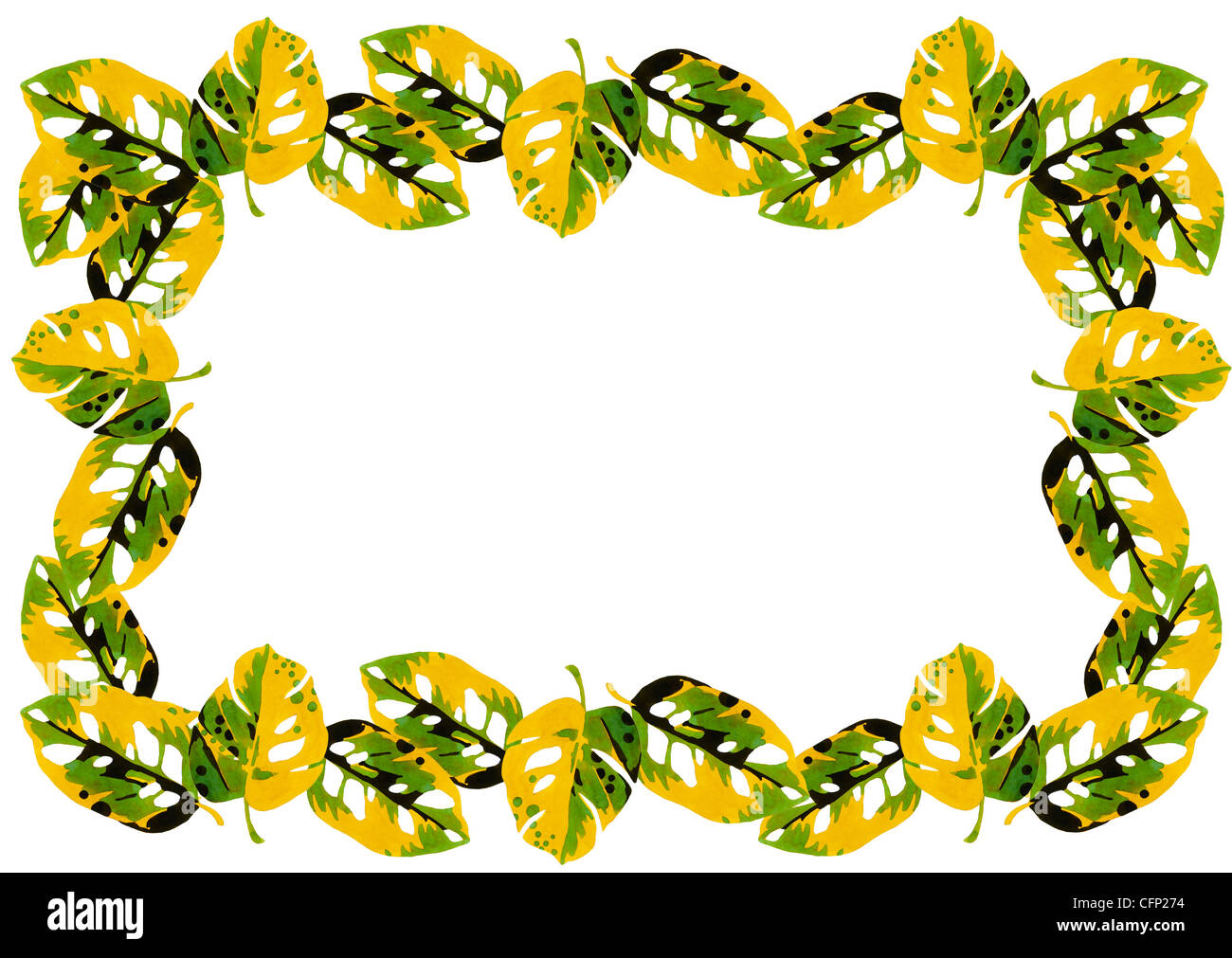 flowers frame in white background isolated Stock Photo - Alamy