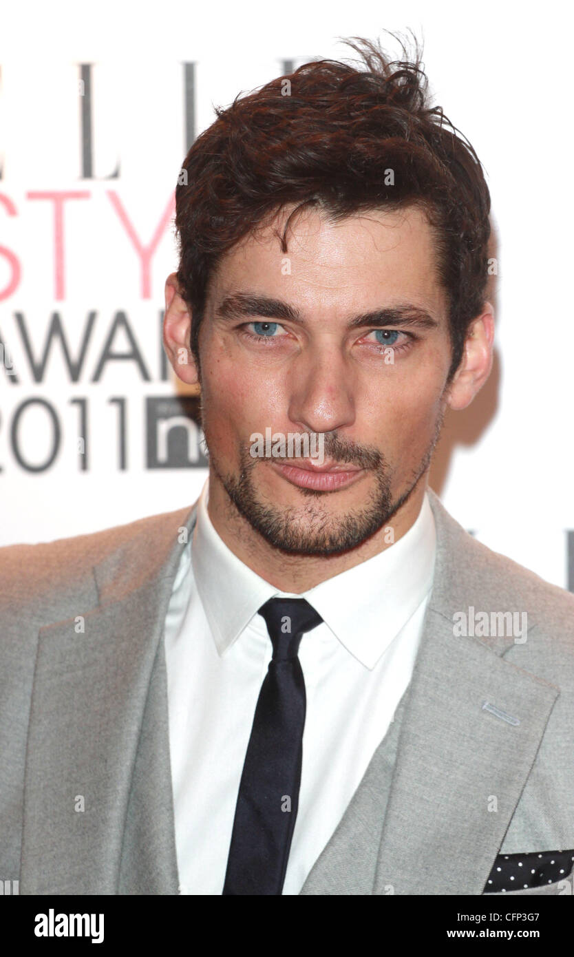 David Gandy Young