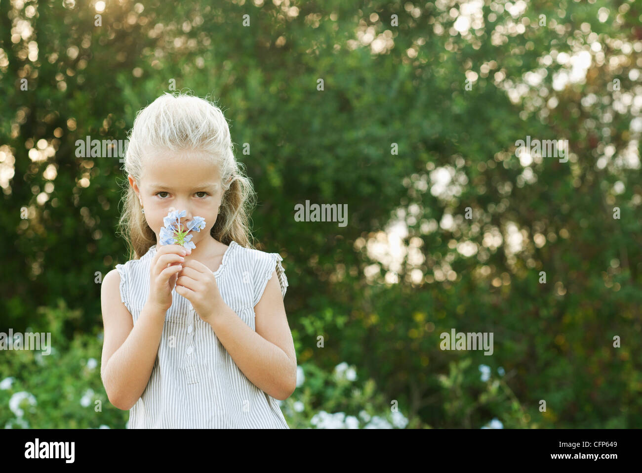 Elementary age smell flower hi-res stock photography and images - Alamy