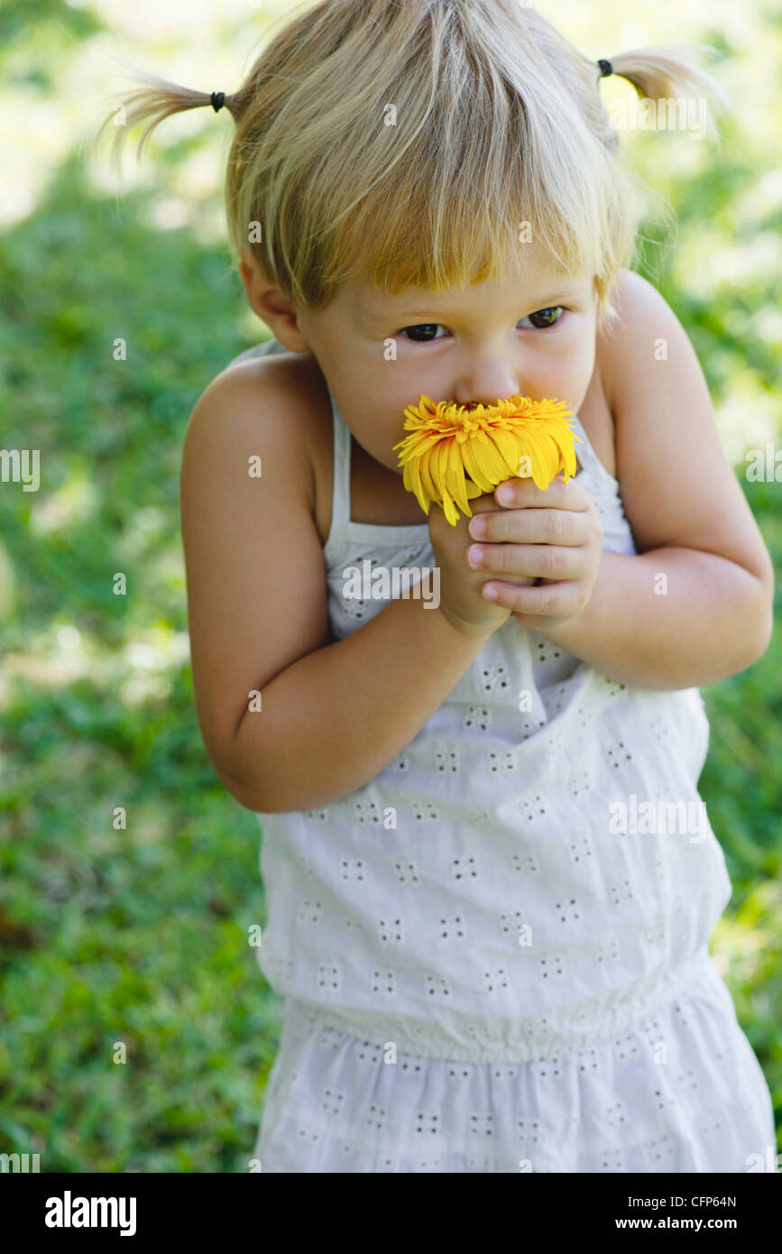 Little girl smelling fresh flower, portrait Stock Photo - Alamy