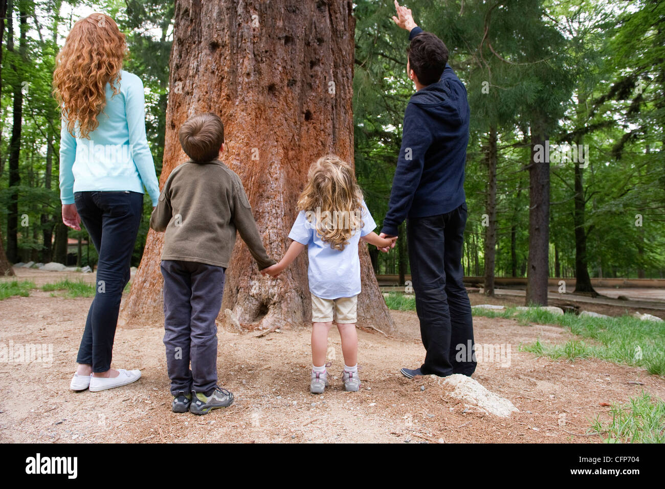 Family standing together at base of tree, rear view Stock Photo