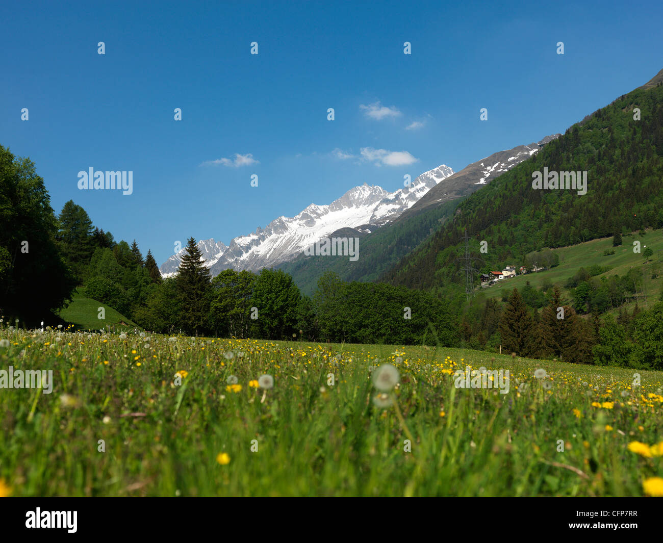 Canton Uri, Swiss Alps, Switzerland, Europe Stock Photo