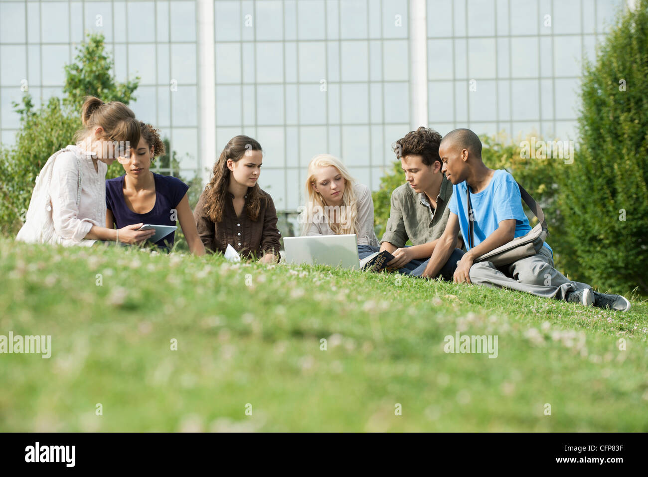 University students studying on grass, low angle veiw Stock Photo