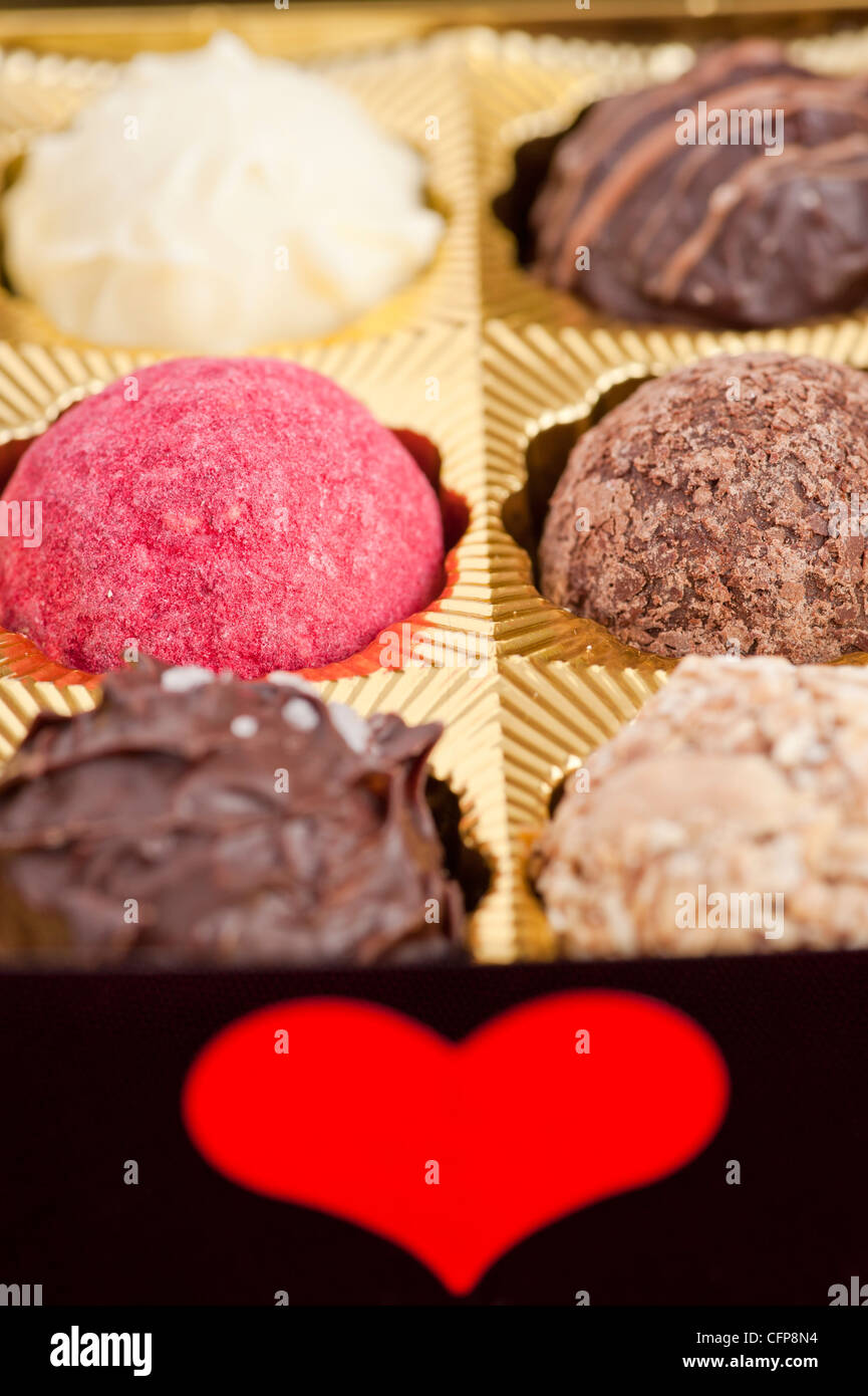 Closeup of chocolate truffles in a box of chocolates Stock Photo