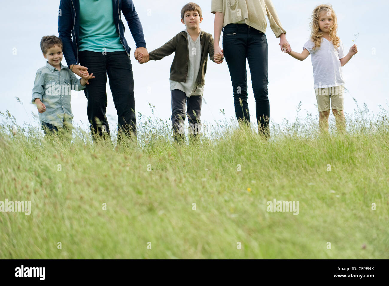Family holding hands together outdoors, cropped Stock Photo - Alamy