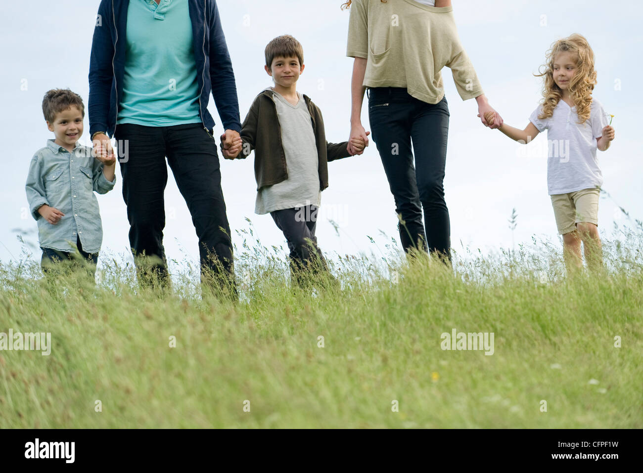 Family holding hands together outdoors, cropped Stock Photo - Alamy