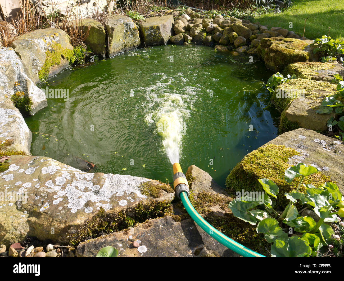 A garden hose being used to replenish water in a garden pond to preserve wild life Stock Photo - Alamy