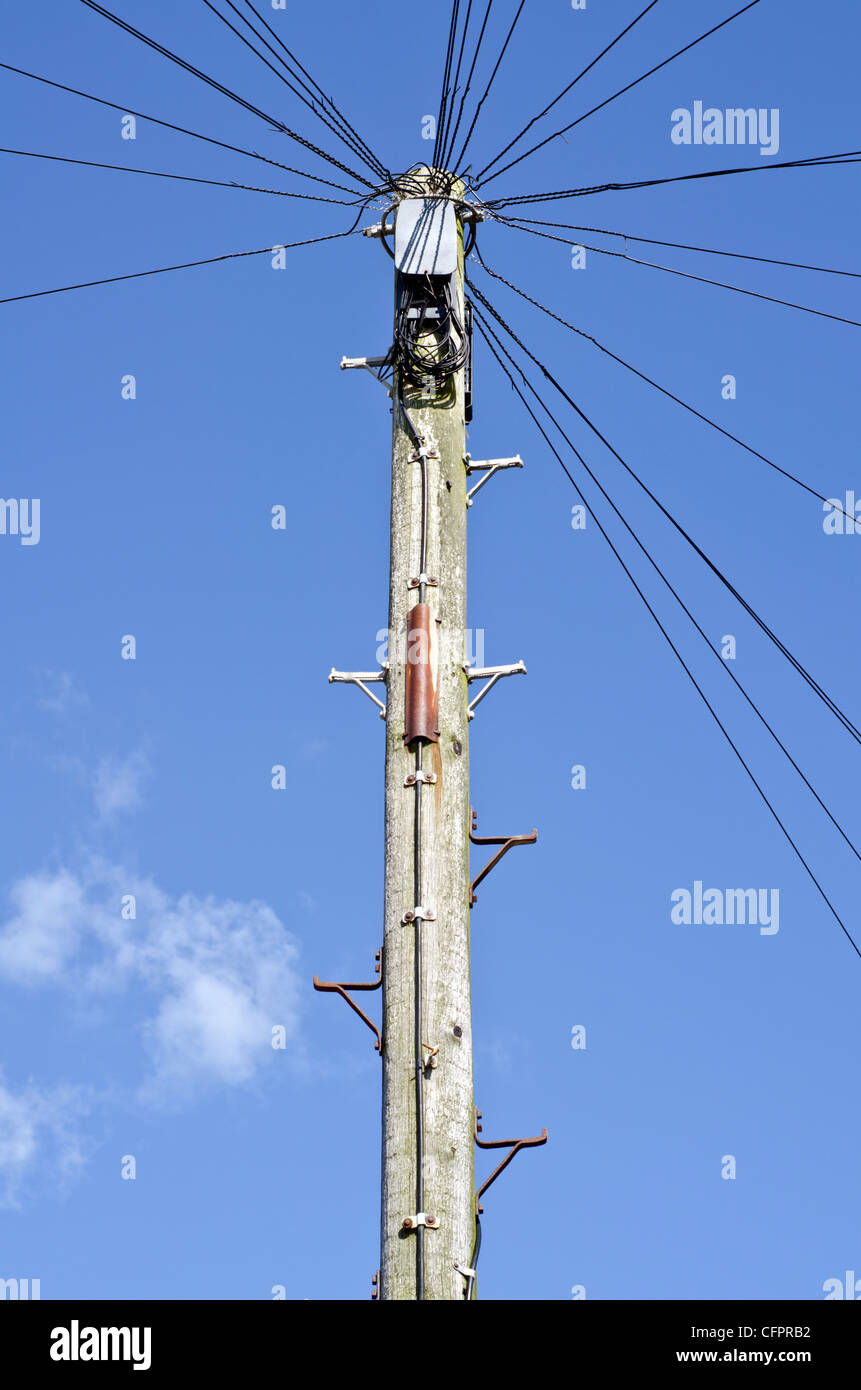 Old wooden British BT telegraph pole against blue sky in England, UK. Stock Photo