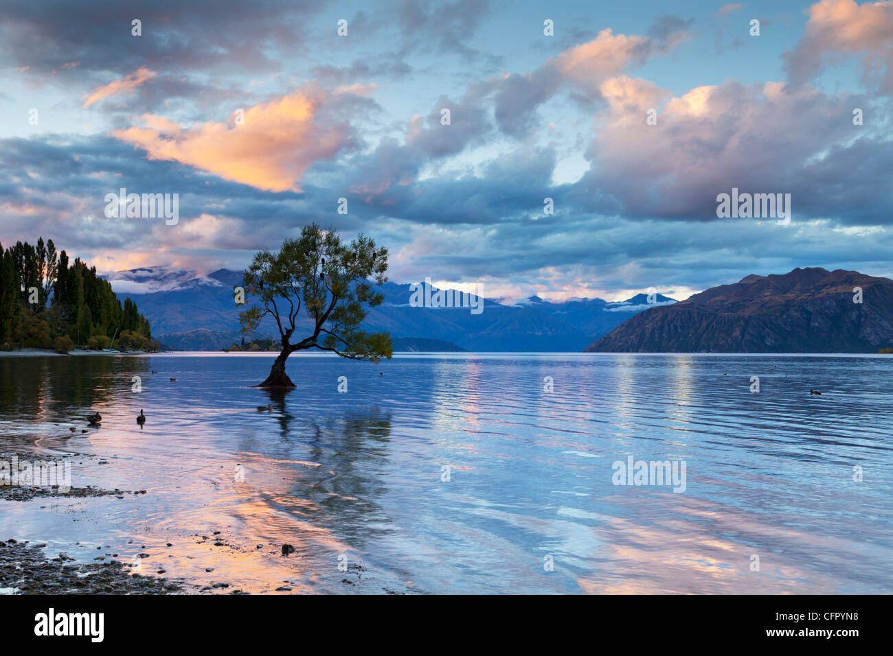 Early evening at Lake Wanaka, Otago, New Zealand. Stock Photo