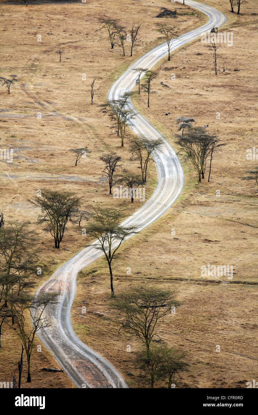 A road through Nakuru National Park, Kenya. Stock Photo