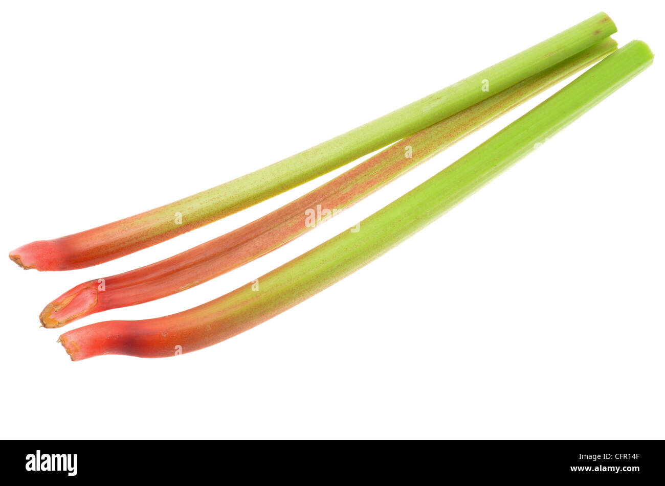 Fresh stalks of Rhubarb also known as Pieplant taken in the studio with a high key white background Stock Photo