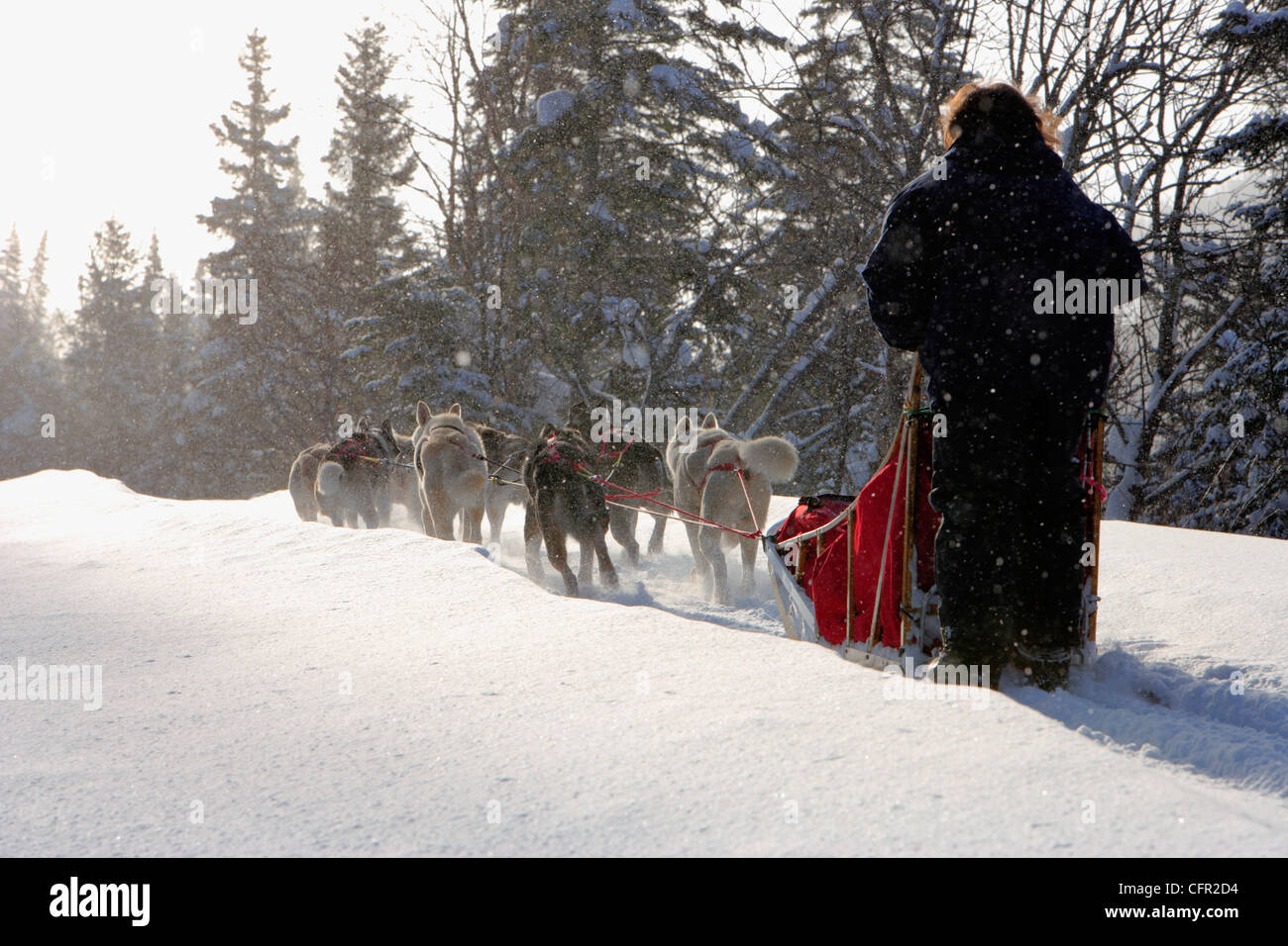 Marsoui quebec hires stock photography and images Alamy