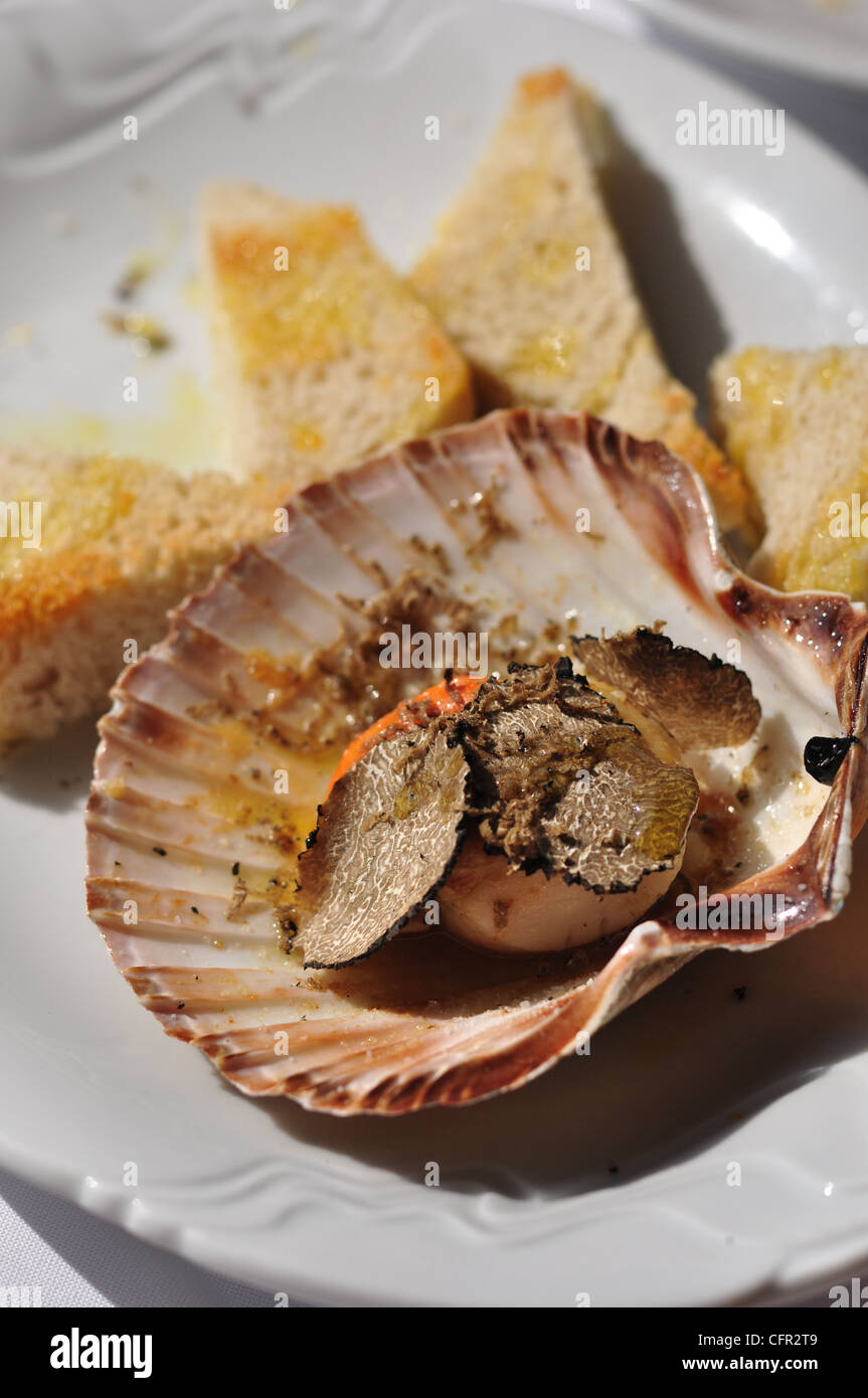 Pecten jacobaeus with Truffle Stock Photo