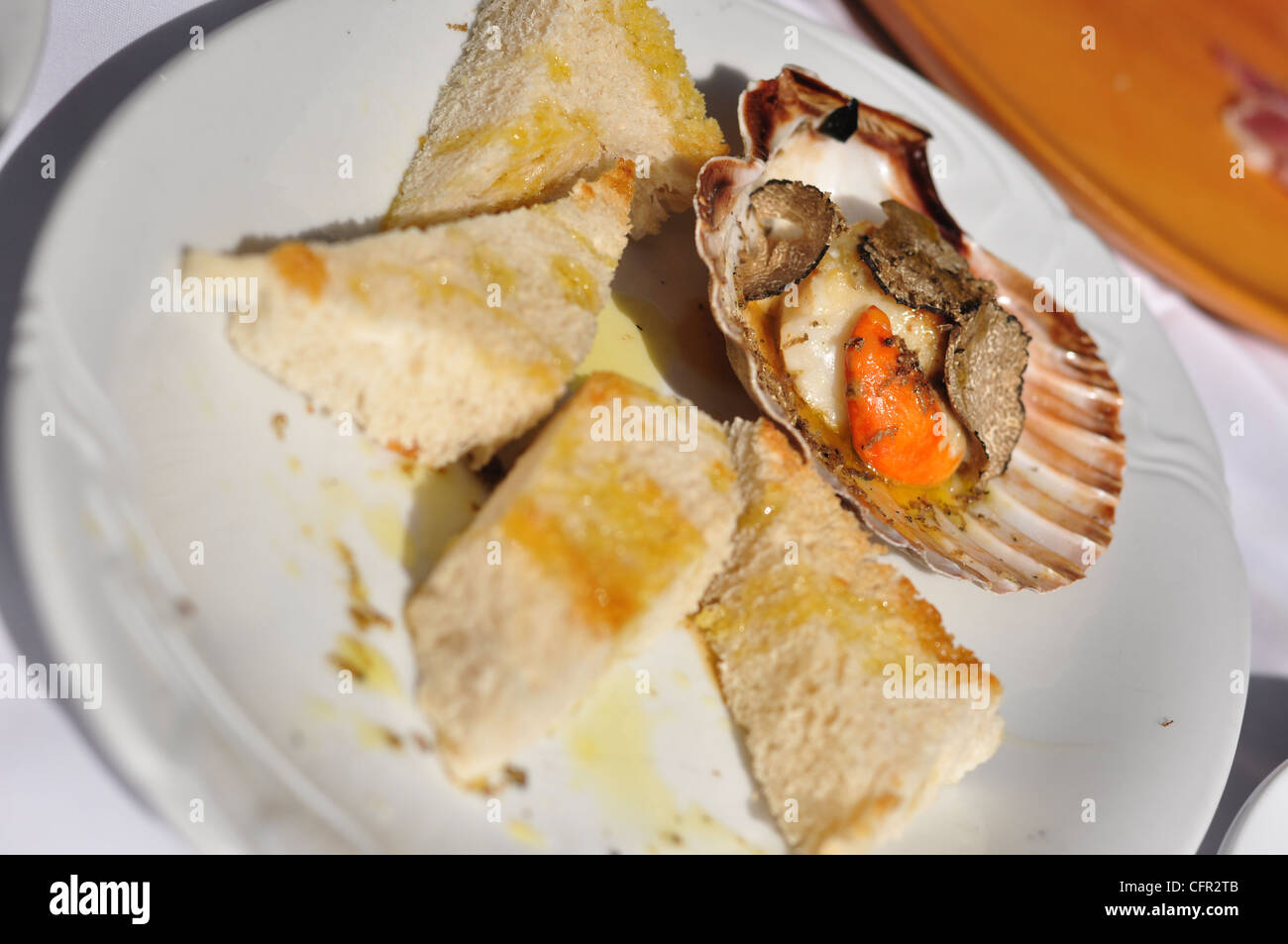 Pecten jacobaeus with Truffle Stock Photo