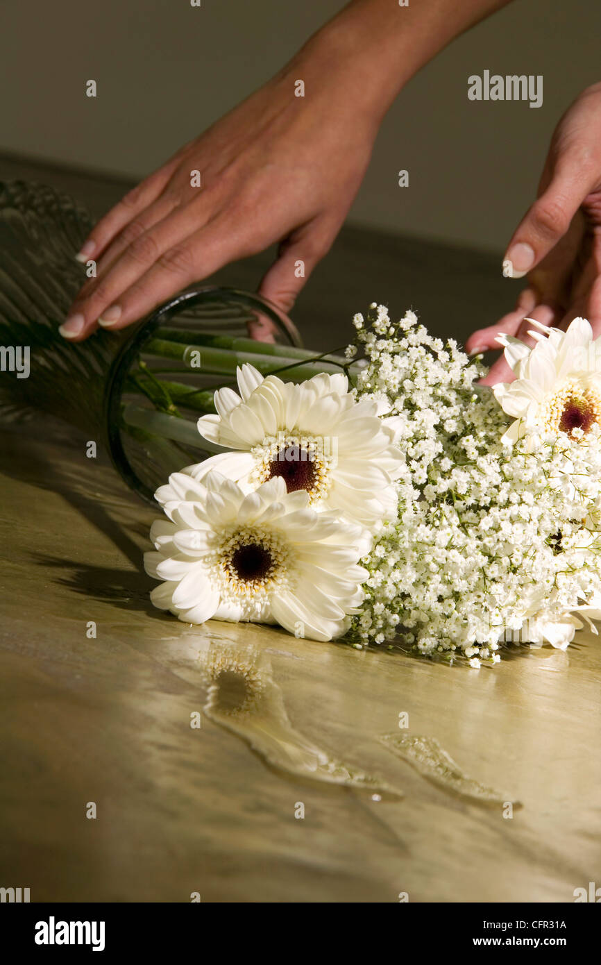 Woman Picking up Vase of Flowers Stock Photo