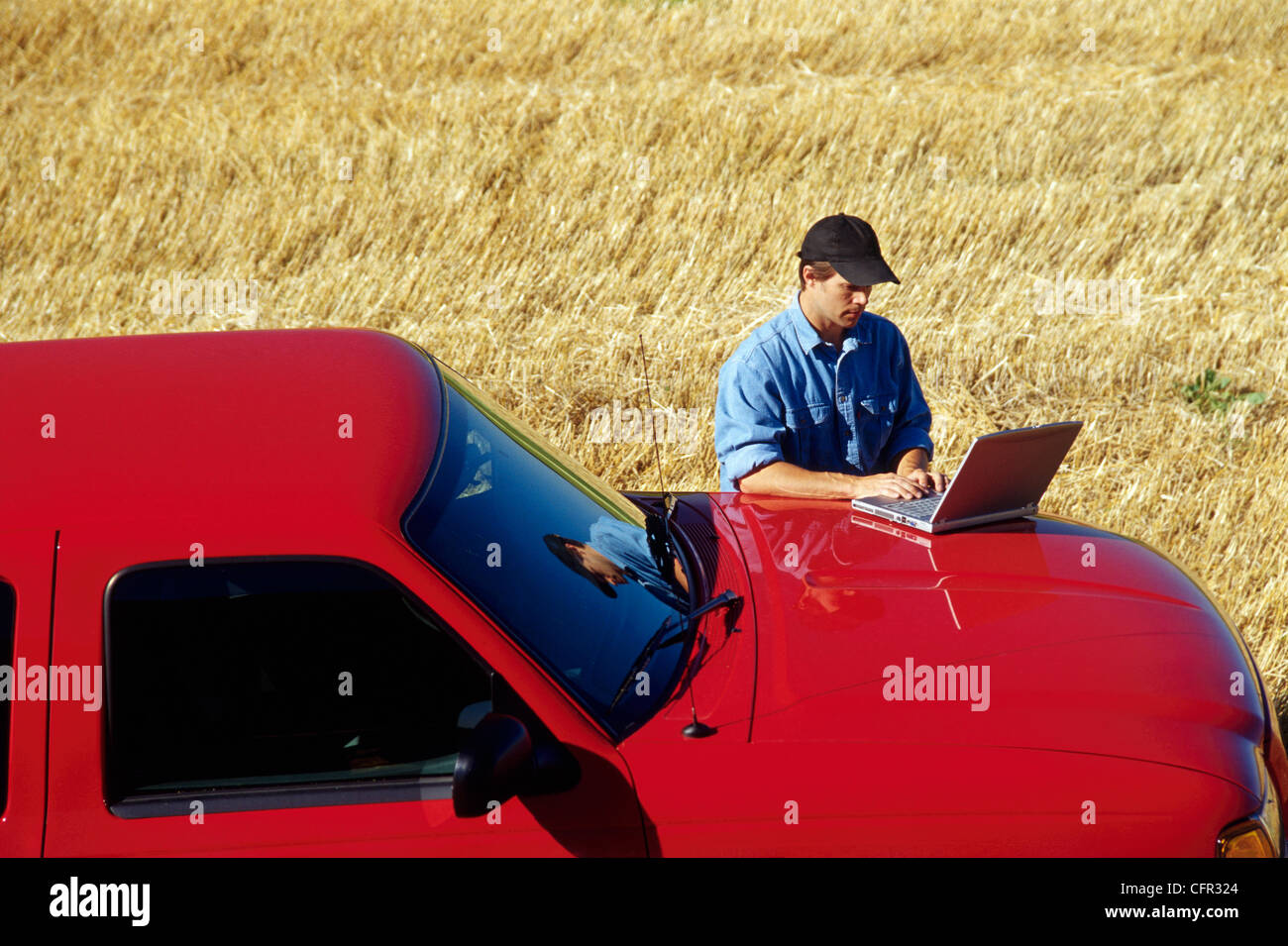 Farmer using Laptop in Wheat Field, Tiger Hills, Manitoba Stock Photo