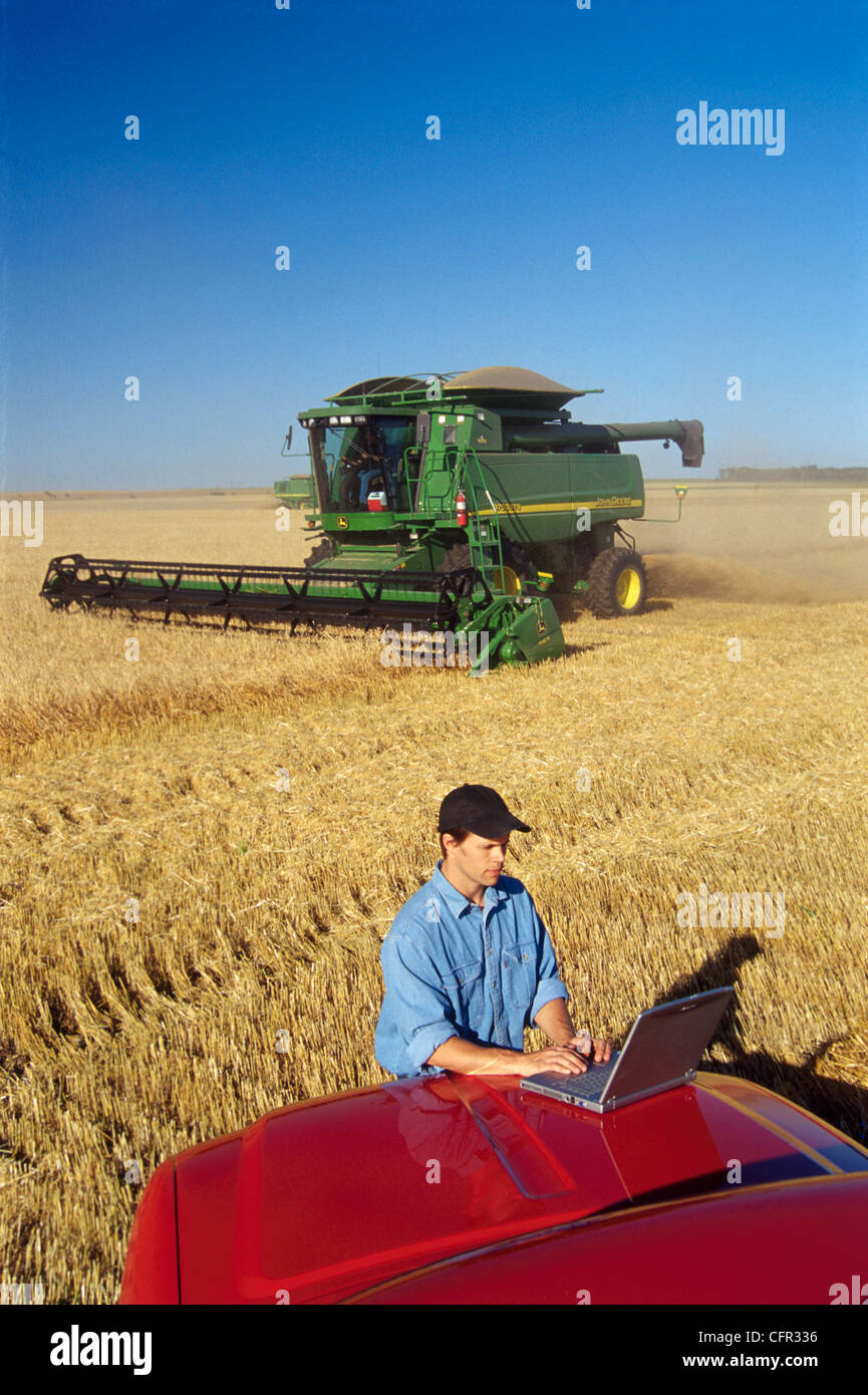 Farmer using Laptop in Wheat Field, Tiger, Hills, Manitoba Stock Photo
