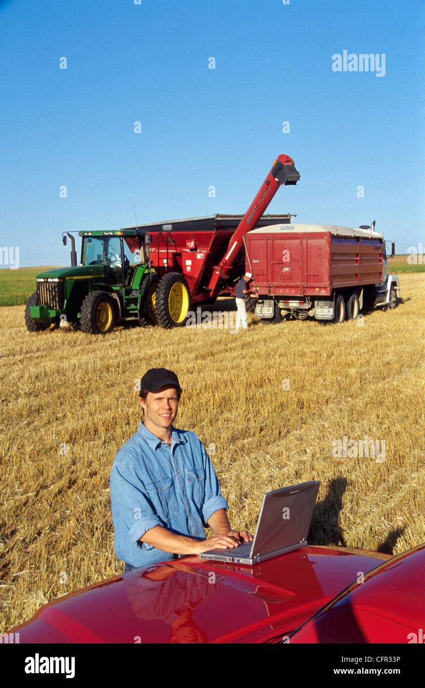 Farmer using Laptop in Wheat Field, Tiger Hills, Manitoba Stock Photo