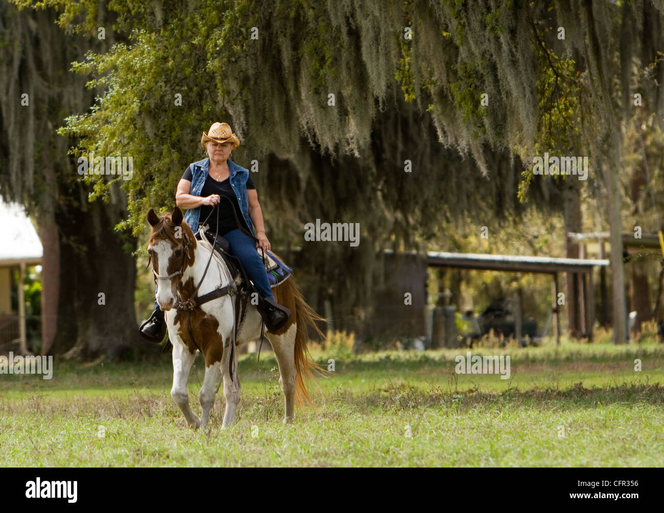 A cowgirl riding her Pinto horse around the pasture.. Stock Photo