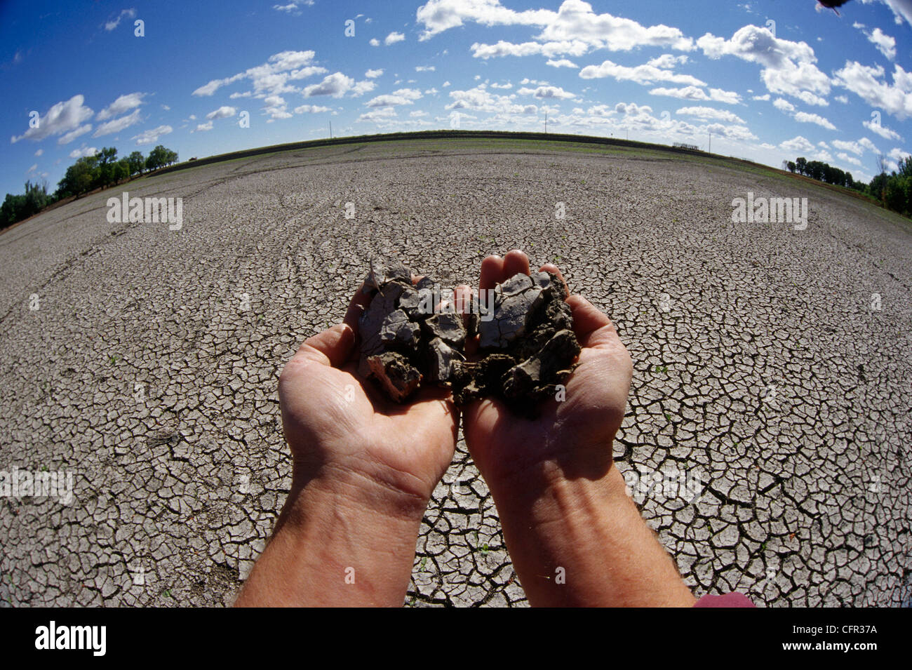 Hands Holding Soil Dry from Drought, Red River Valley, Manitoba Stock Photo