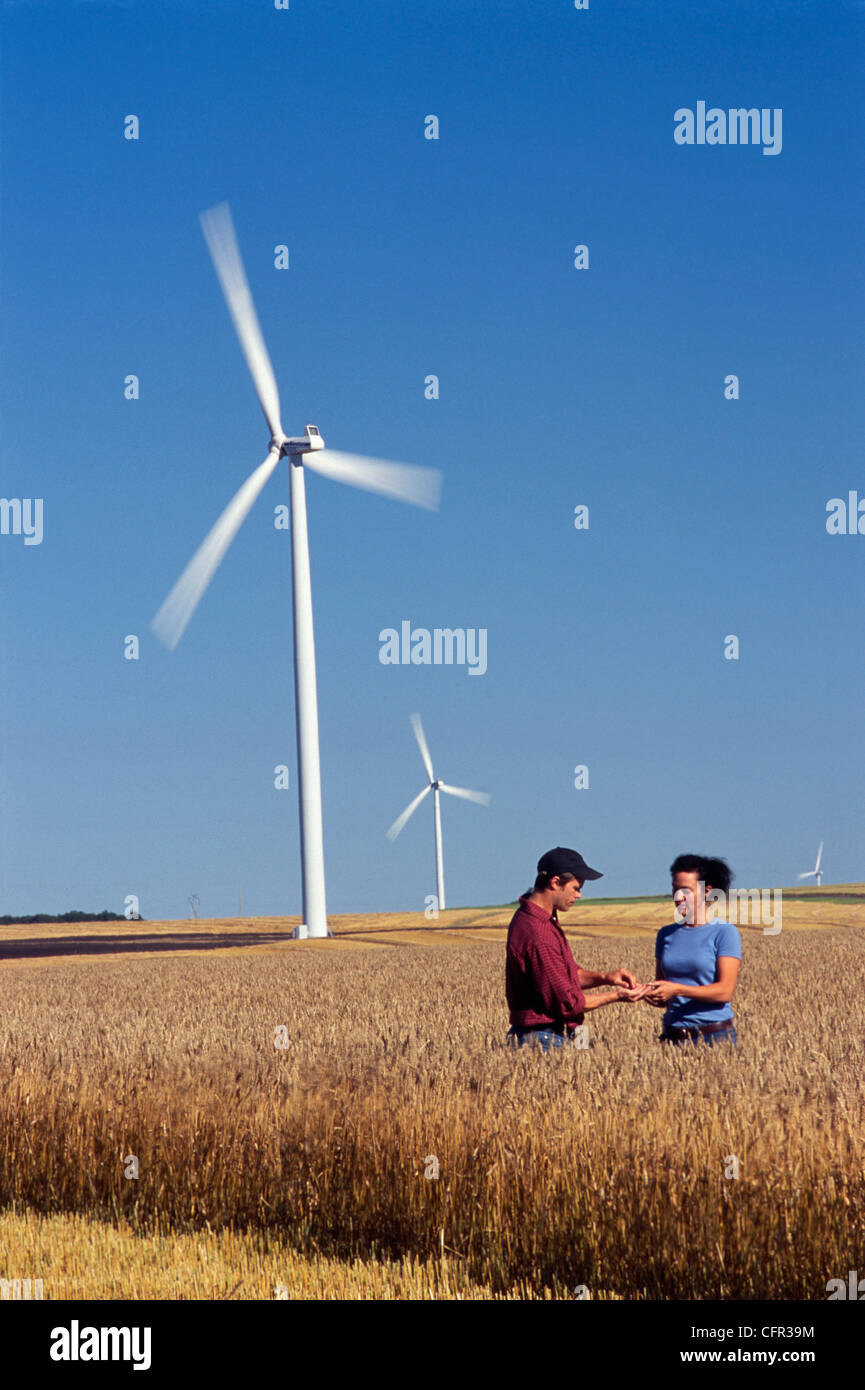 Couple in Wheat Field near Wind Turbine, St. Leon, Manitoba Stock Photo