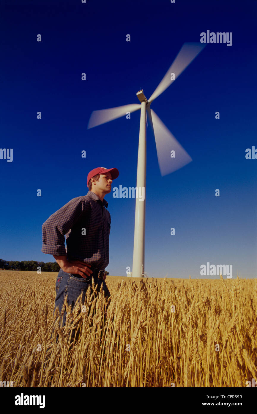 Farmer in Wheat Field near Wind Turbine, St. Leon, Manitoba Stock Photo