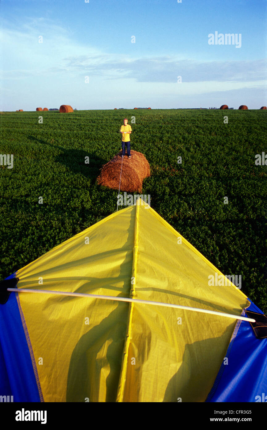 Boy Flying Kite in Alfalfa Field, Winnipeg, Manitoba Stock Photo