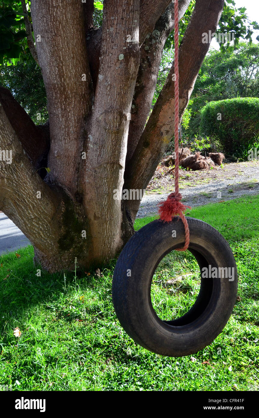 Swing Trees High Resolution Stock Photography and Images Alamy