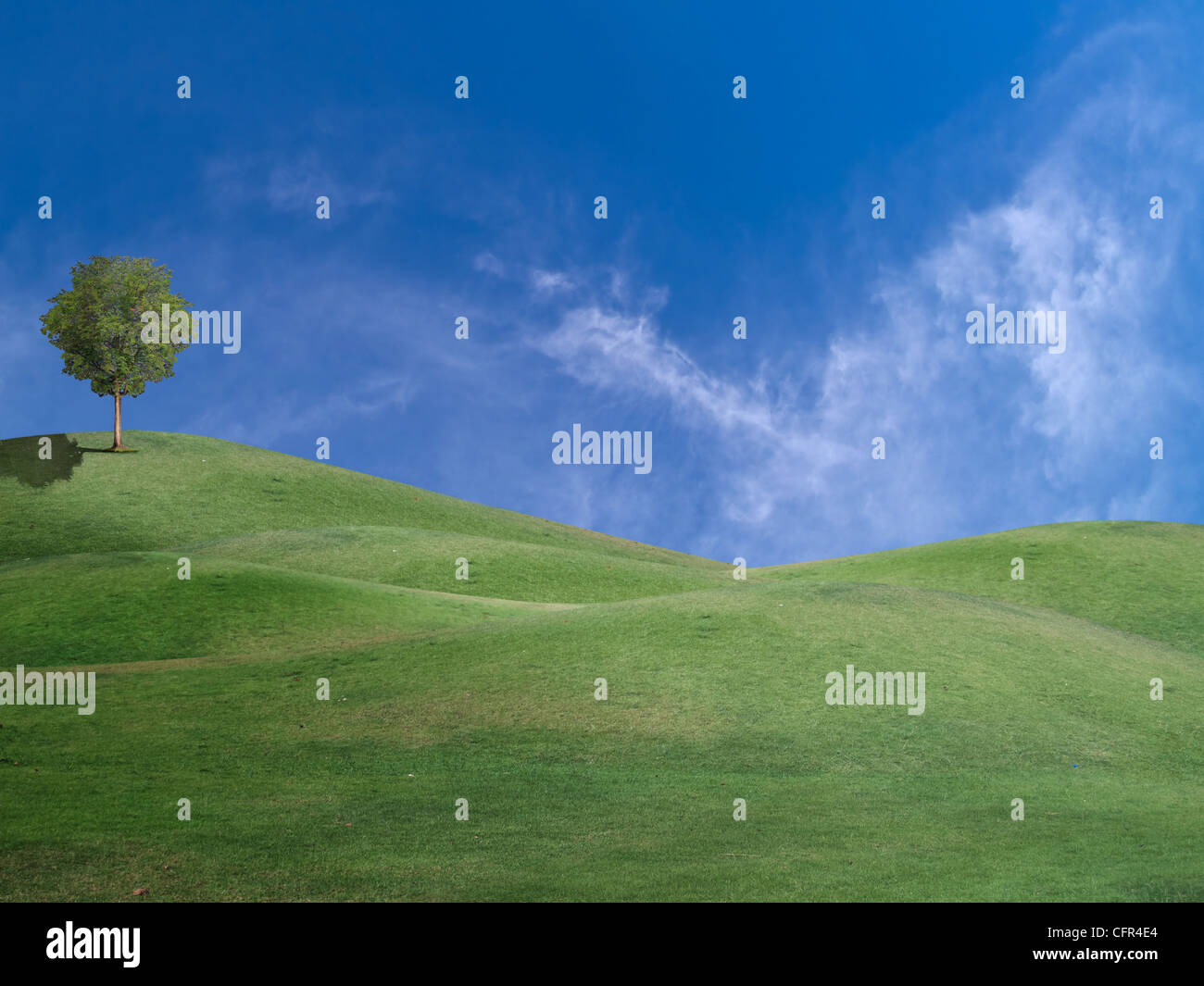 Hill tree green meadow hi-res stock photography and images - Alamy