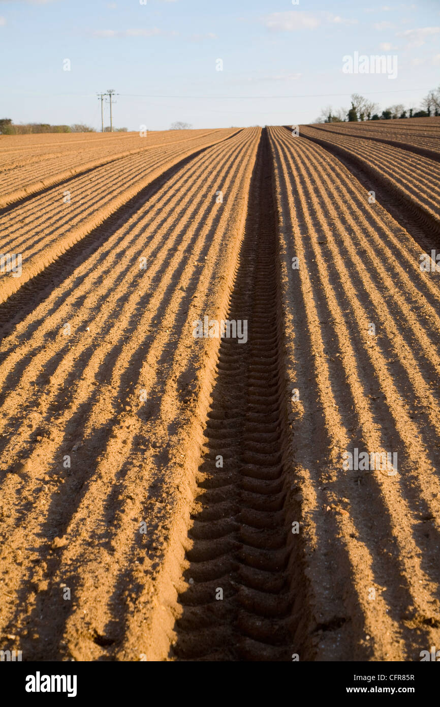 Patterns and lines in soil furrows of field, Alderton, Suffolk, England Stock Photo