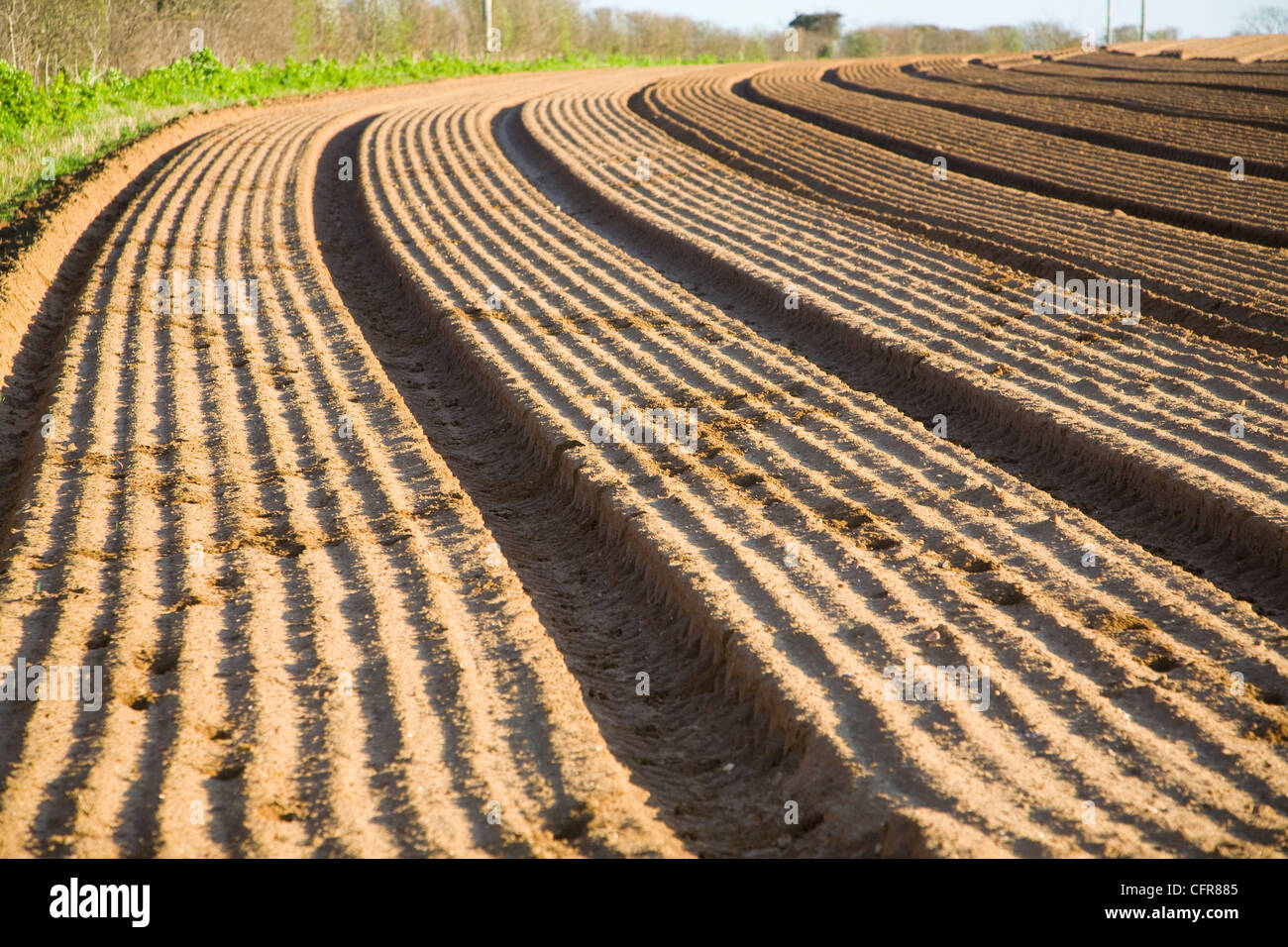Patterns and lines in soil furrows of field, Alderton, Suffolk, England Stock Photo