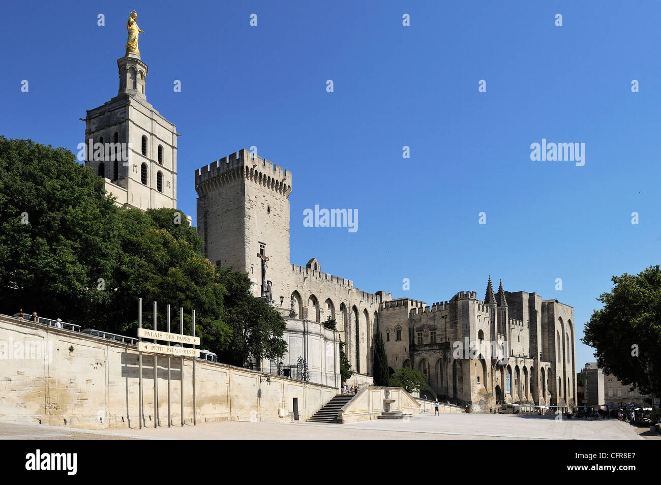 Notre Dame des Doms Cathedral and Palais des Papes (Papal Palace), UNESCO World Heritage Site, Avignon, Provence, France, Europe Stock Photo
